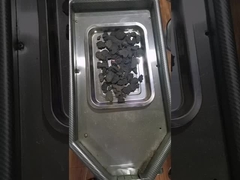 Polygonum multiflorum bubuk